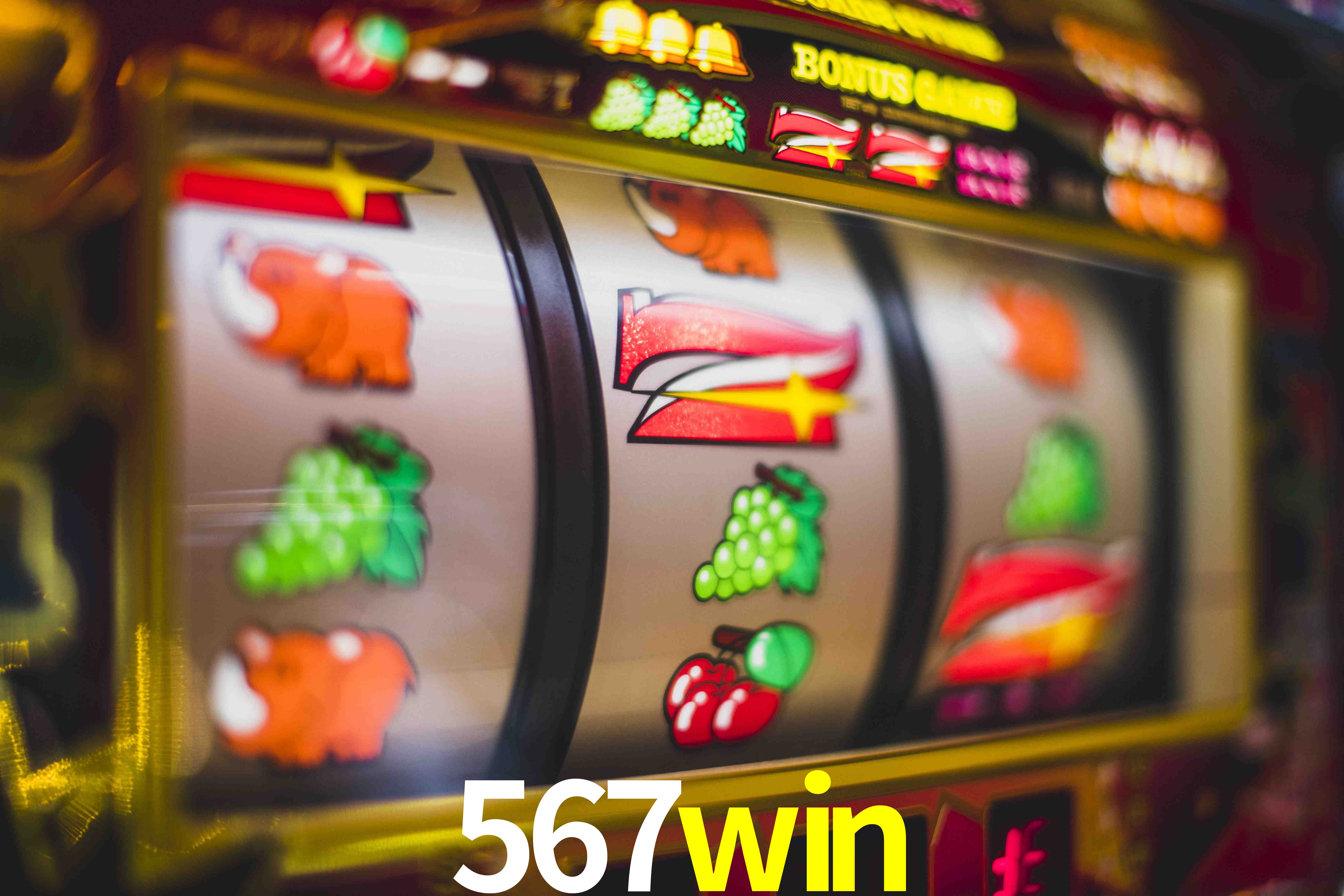 Sports Statistics 567win